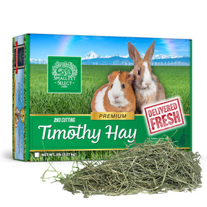 2nd Cutting Timothy Hay