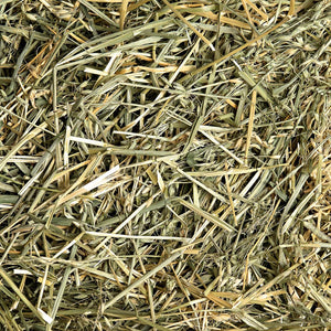 Oat Hay